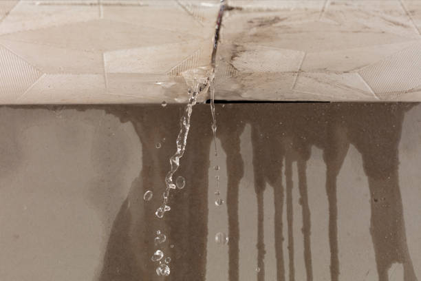 Professional Structural Drying technician working in Northport, NY